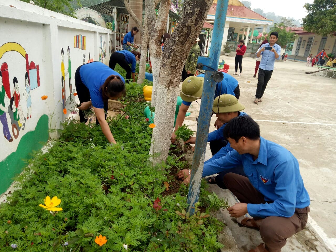 anh nho cỏ